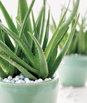 760e2e2556eab76d0de61f803265a6e8